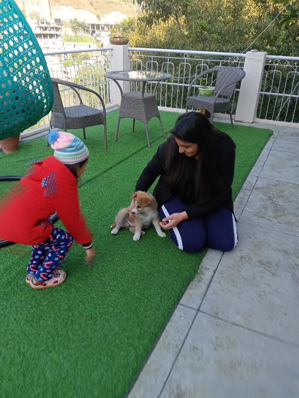 Happy Family Stay Himachal Homestay 2