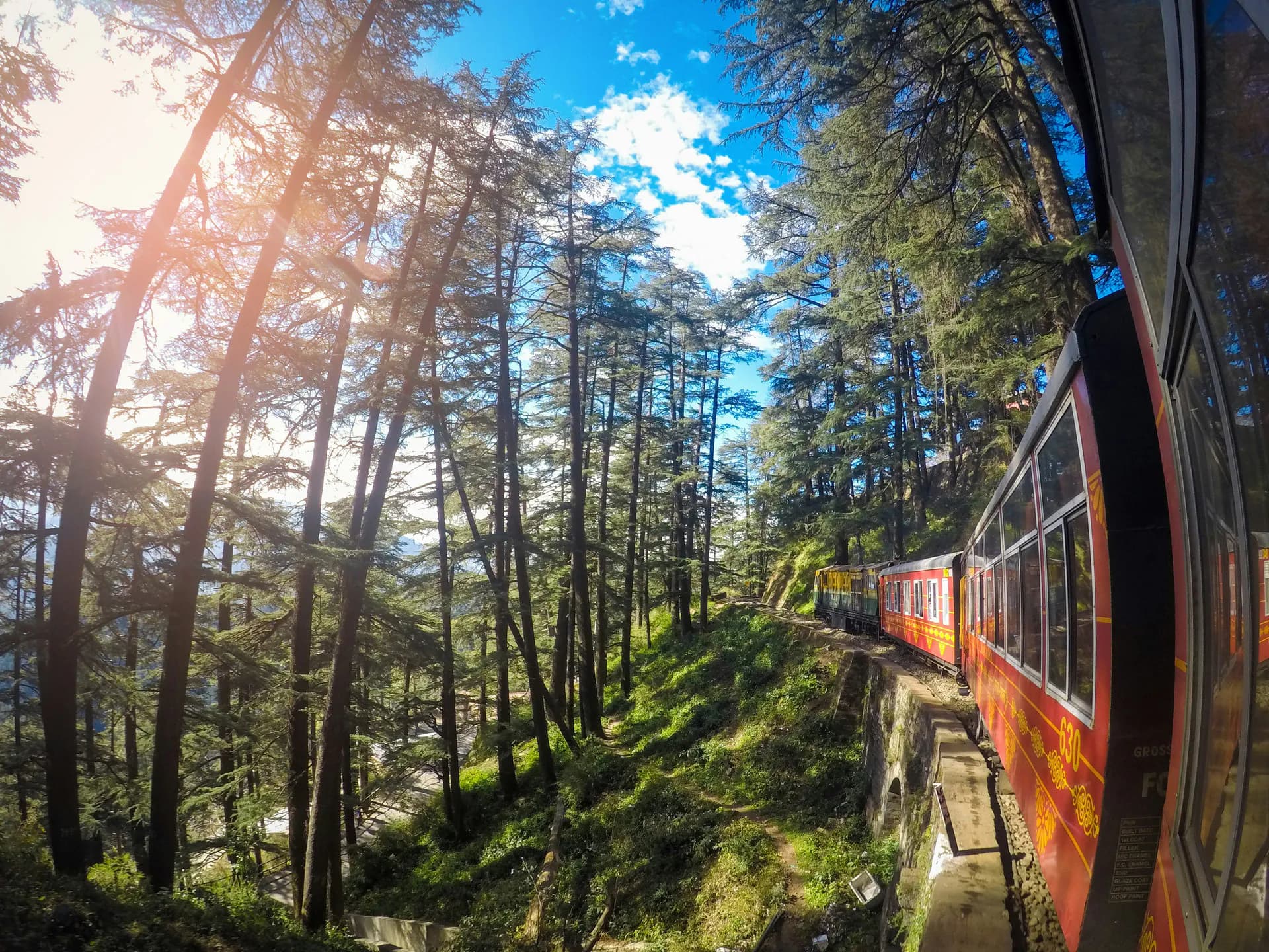 The colorful Kalka-Shimla Toy Train passing through scenic mountain forests and curves