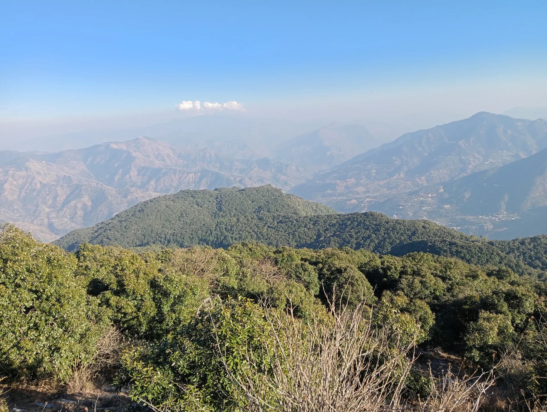 A scenic mountain trail on the Karol Tibba trek, the highest peak in the Solan region