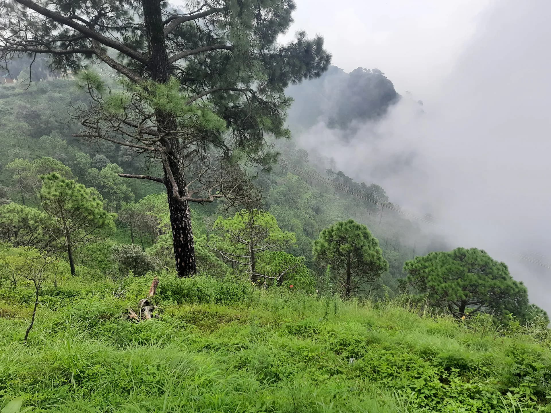Panoramic view of the misty green mountains and hills in Kasauli, Himachal Pradesh