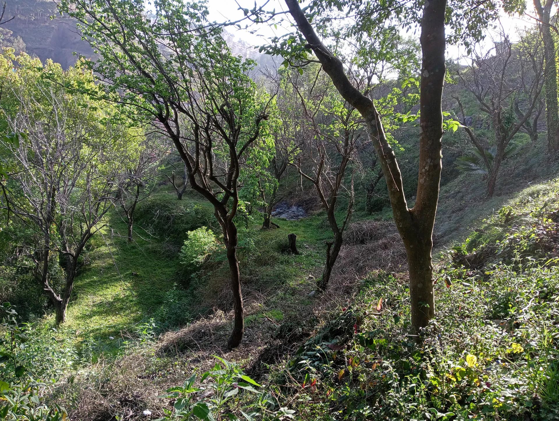 Scenic Mountain View Kandaghat Hills 12