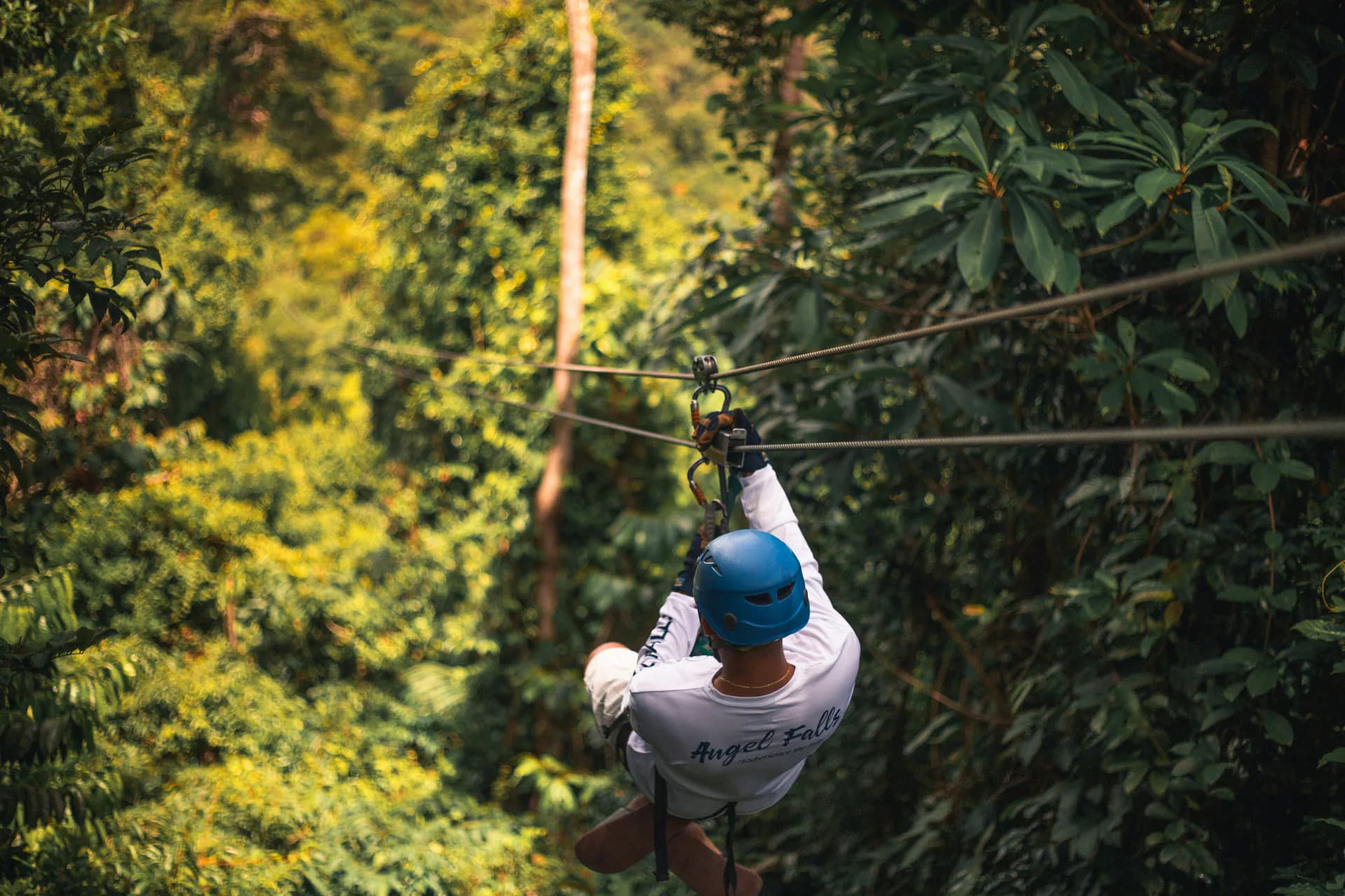 A person enjoying a thrilling zipline adventure through the forest canopy in Solan