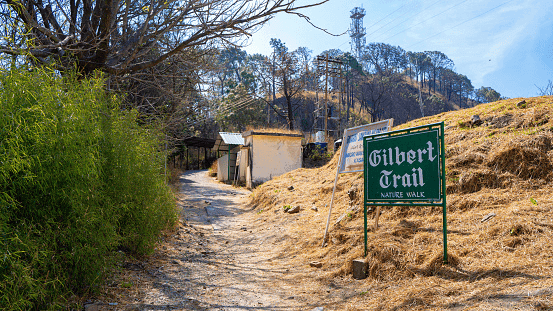 A peaceful walk on the Gilbert Trail in Kasauli, near Mohija Homesta
