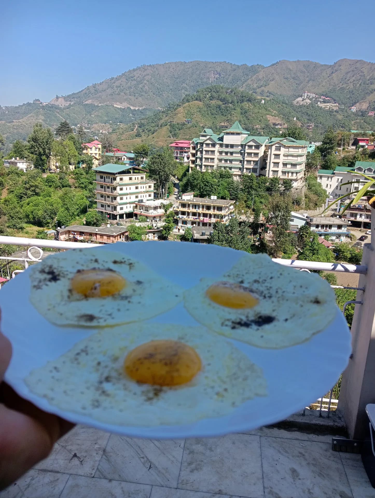 Homemade Delicious Food Mohija Homestay 15